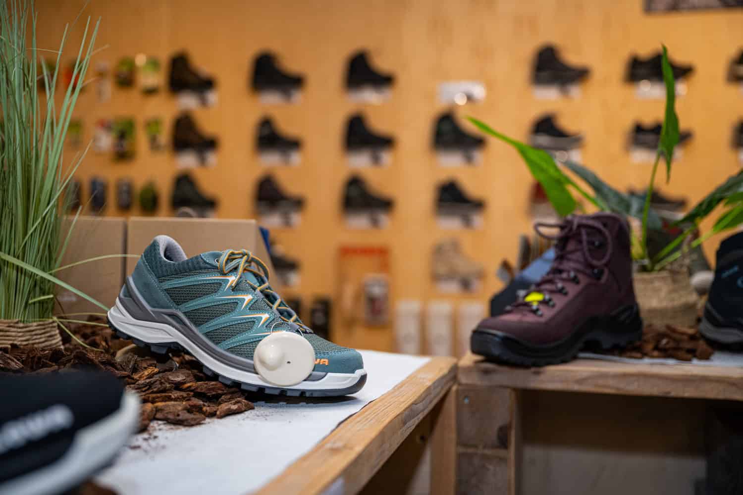 Bergschoenen en wandelschoenen kopen | Schoenen kopen